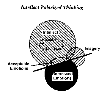 Polarized Thinking