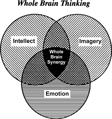 Whole Brain Thinking